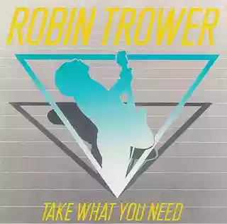 Cover di Take What You Need