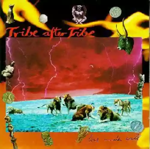 Cover Tribe After Tribe - Love Under Will