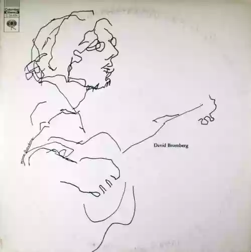 Cover David Bromberg - David Bromberg