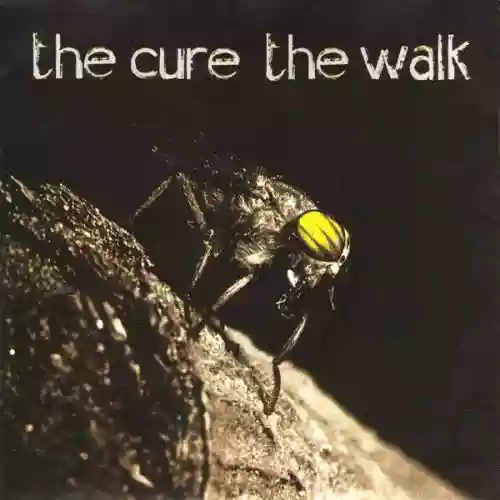 Cover di The Walk