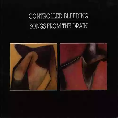 Cover di Songs From the Drain