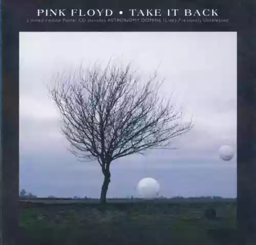 Cover Pink Floyd - Take It Back