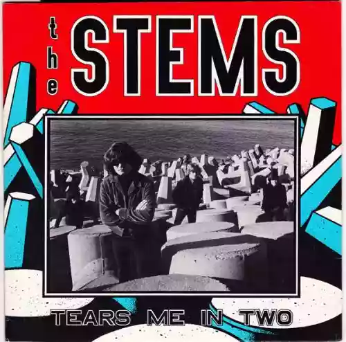 Cover The Stems - Tears Me in Two