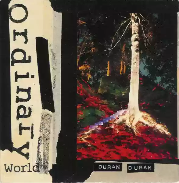 duran duran: ordinary world