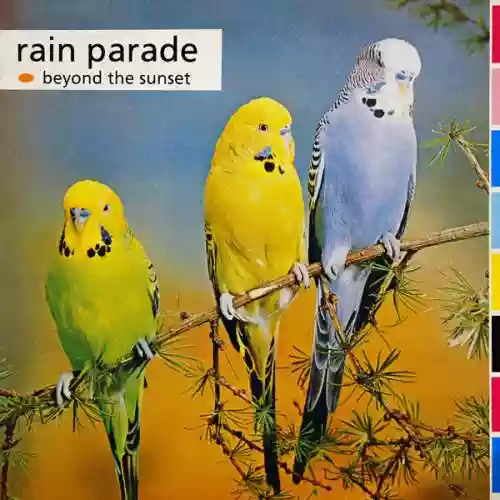 Cover Rain Parade - Beyond the Sunset