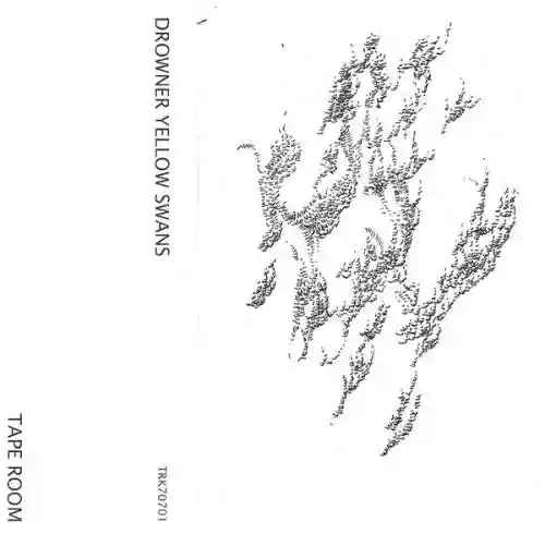 Cover Yellow Swans - Drowner Yellow Swans