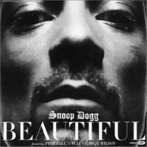 Cover Snoop Dogg - Beautiful (feat. Pharrell & Uncle Charlie Wilson)
