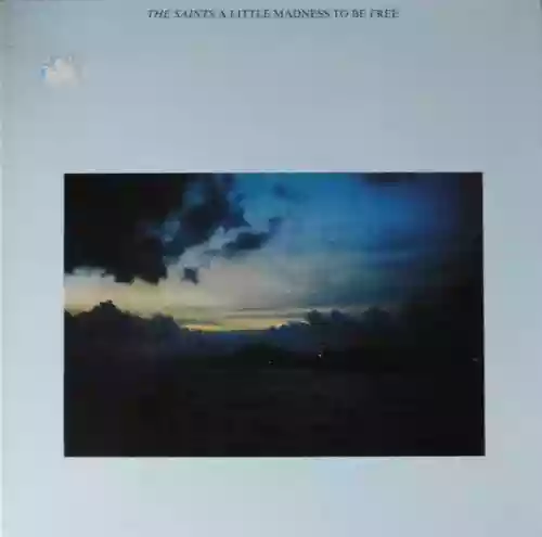 Cover The Saints - A Little Madness to Be Free