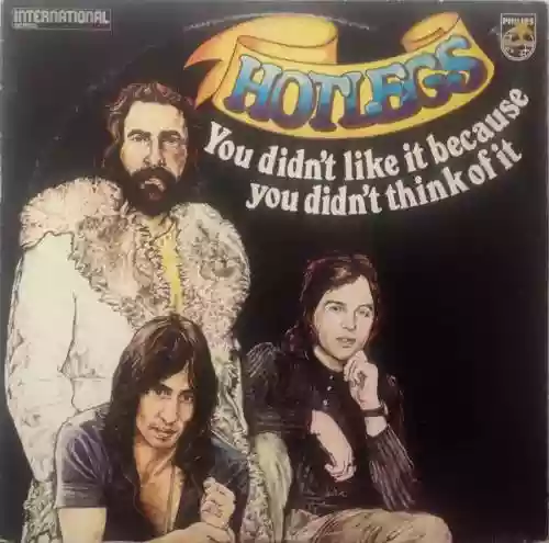 Cover Hotlegs - You Didn't Like It Because You Didn't Think of It