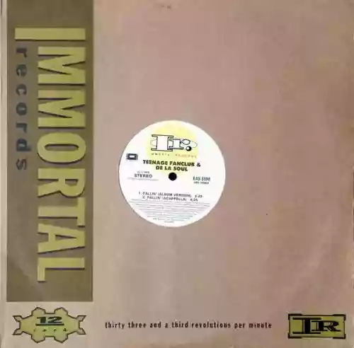 Cover Teenage Fanclub - Fallin'