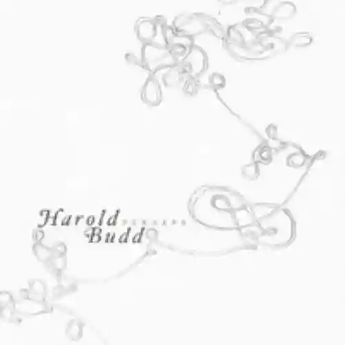 Cover Harold Budd - Perhaps