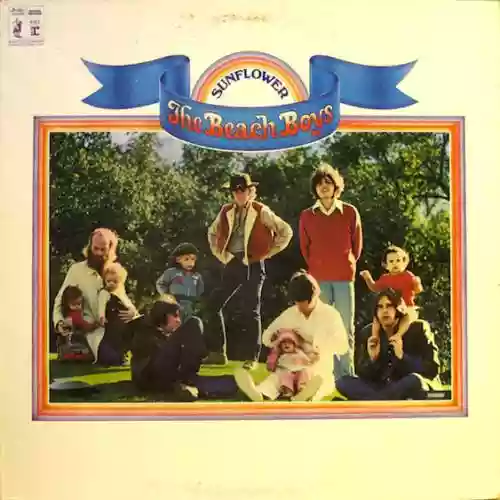 Cover The Beach Boys - Sunflower