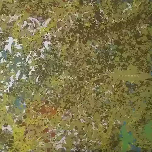 Cover Toundra - Toundra