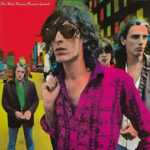 Cover di Pleasure Ground