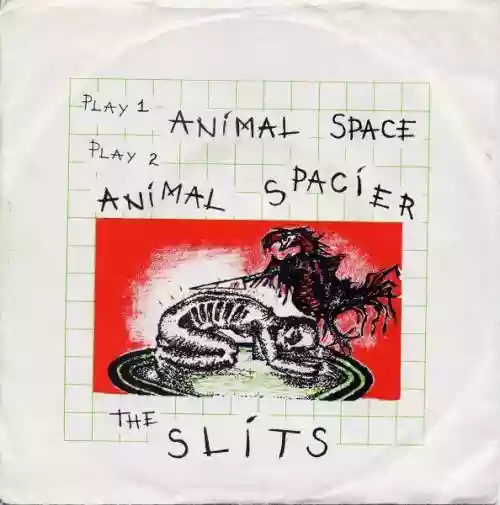 Cover The Slits - Animal Space