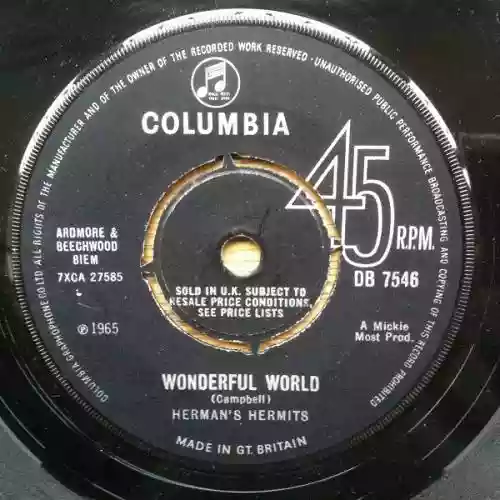 Cover Herman's Hermits - Wonderful World
