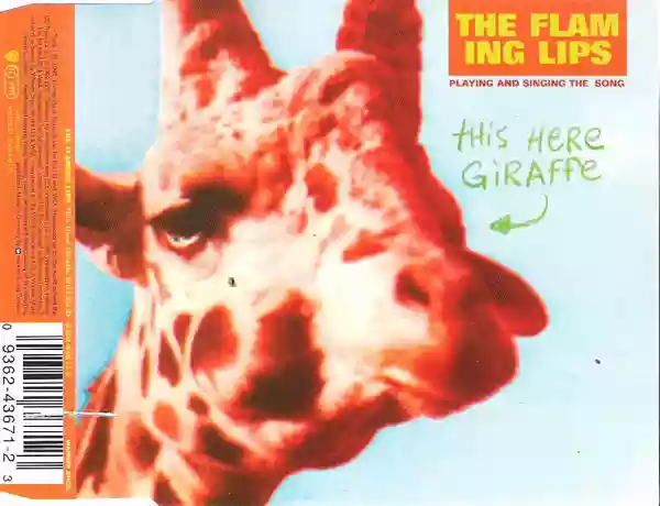 The Flaming Lips: This Here Giraffe