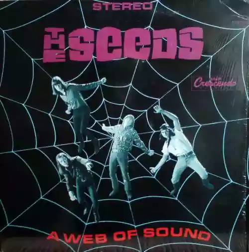 Cover The Seeds - A Web of Sound