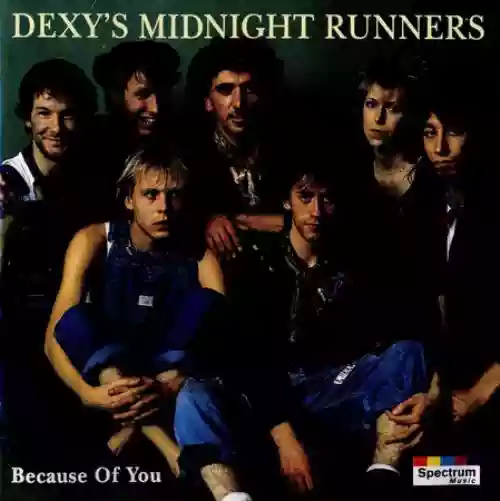 Cover Dexys Midnight Runners - Because of You