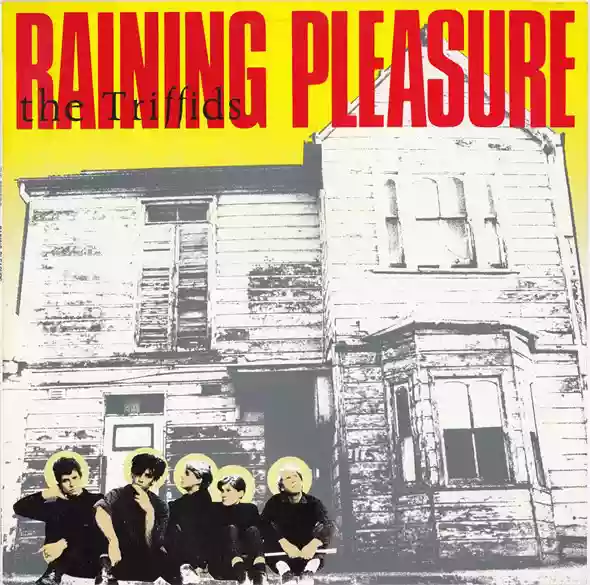 The Triffids: Raining Pleasure