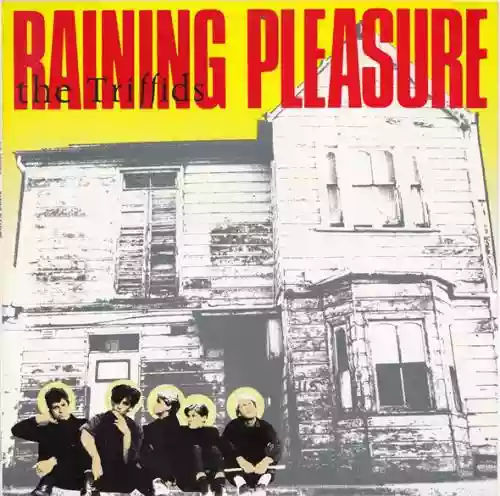 Cover di Raining Pleasure