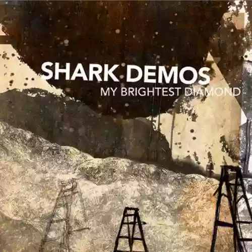 Cover My Brightest Diamond - Shark Demos