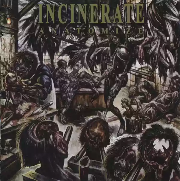 Incinerate: Anatomize