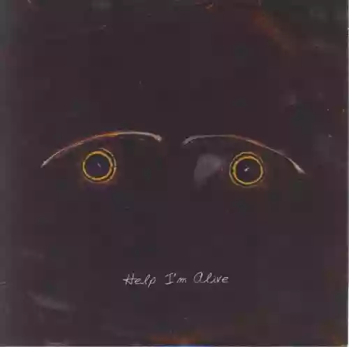 Cover Metric - Help I'm Alive