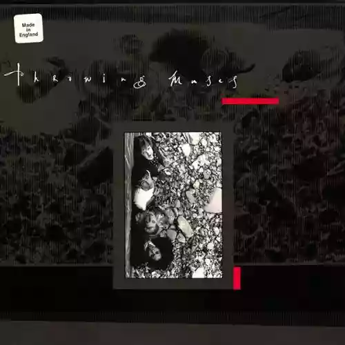 Cover di Chains Changed
