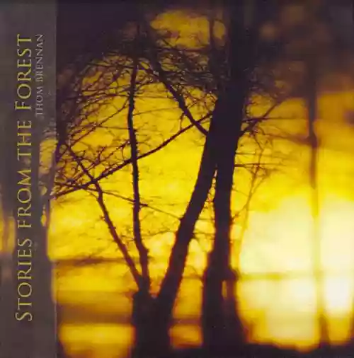 Cover di Stories From the Forest