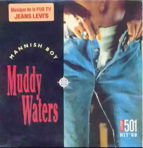 Cover Muddy Waters - Mannish Boy