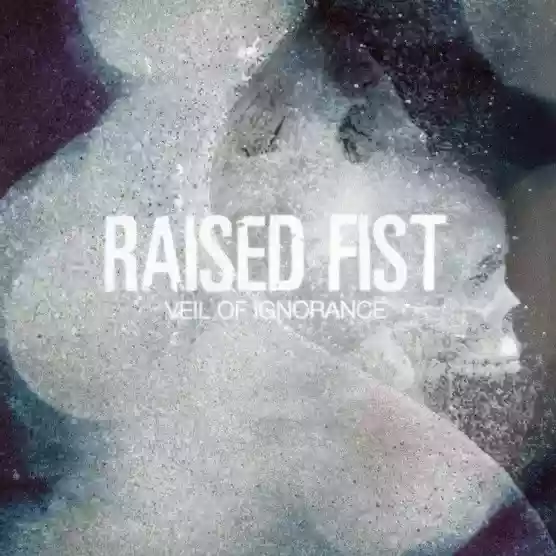 Raised Fist: Veil of Ignorance