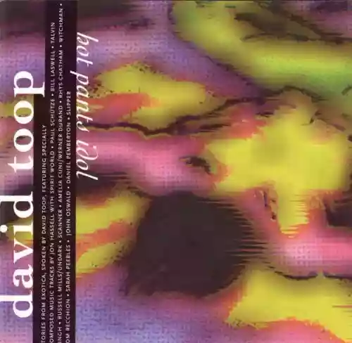 Cover David Toop - Hot Pants Idol