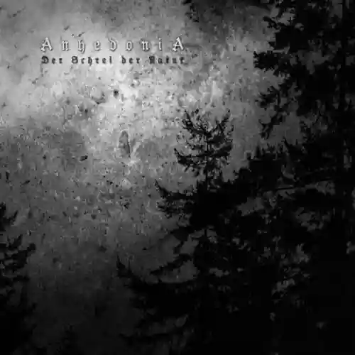 Cover di Der Schrei der Natur