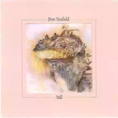 Cover Peter Sinfield - Still