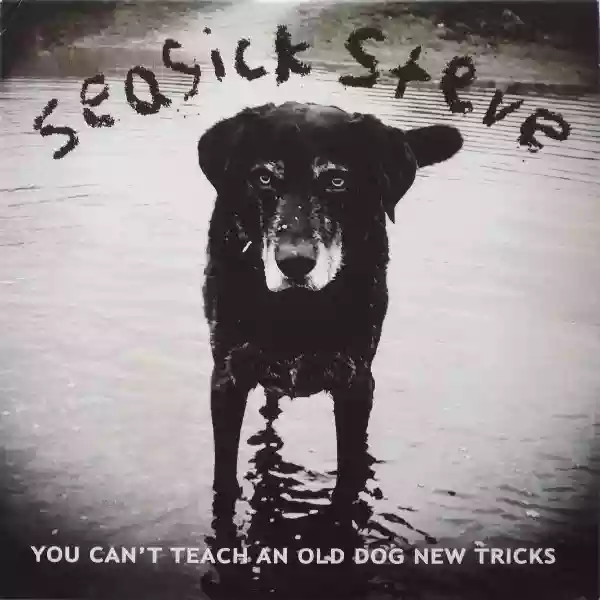Seasick Steve: You Can't Teach an Old Dog New Tricks