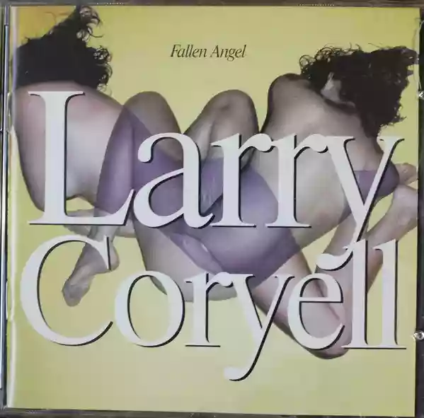 Larry Coryell: Fallen Angel