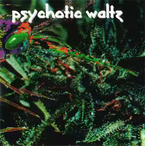 Cover Psychotic Waltz - Mosquito