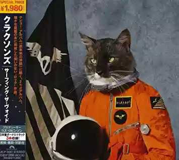 Klaxons: Surfing The Void