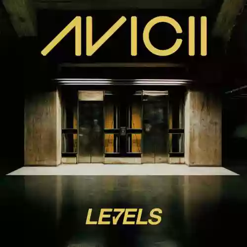 Cover Avicii - Levels