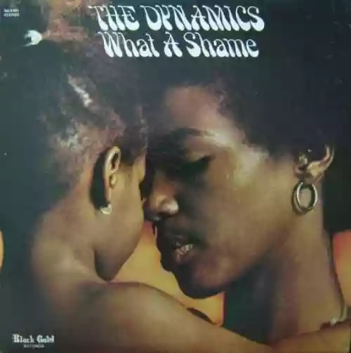 Cover The Dynamics - What a Shame