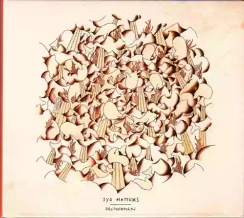Cover Syd Matters - Brotherocean