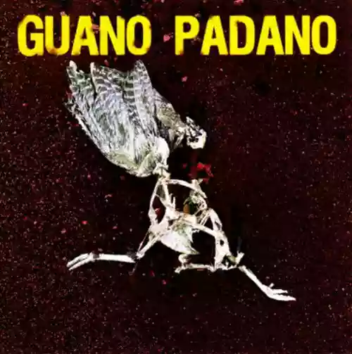 Cover di Guano Padano