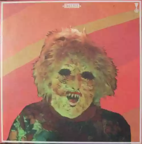 Cover Ty Segall - Melted