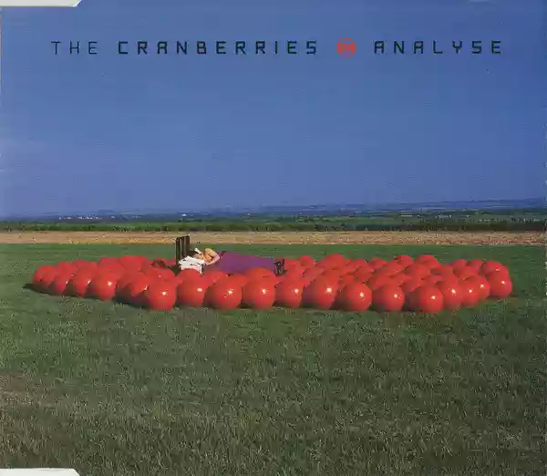 The Cranberries: Analyse