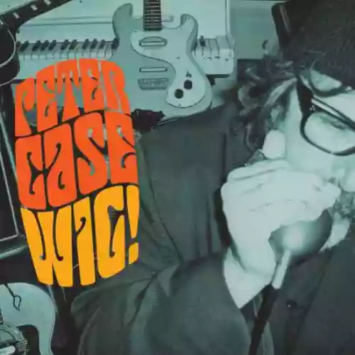 Cover Peter Case - Wig!