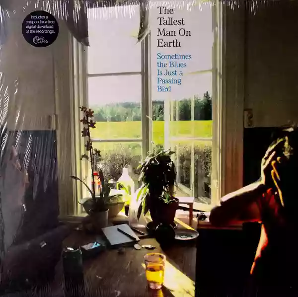 The Tallest Man On Earth: Sometimes the blues is just a passing bird