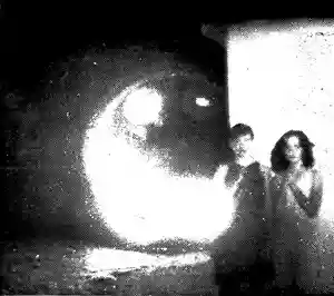 Other Lives: Tamer Animals
