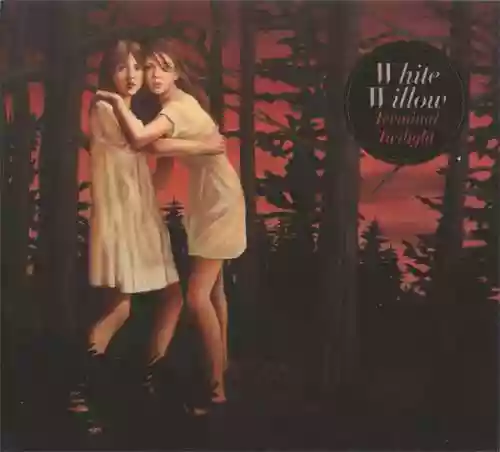 Cover di Terminal Twilight