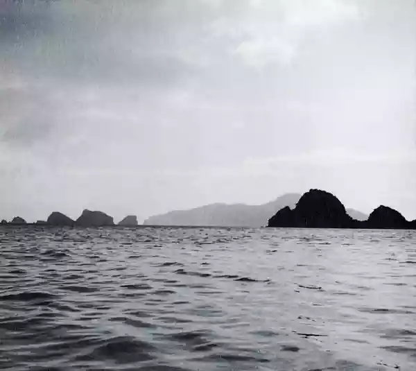 Bvdub: Tribes at the Temple of Silence